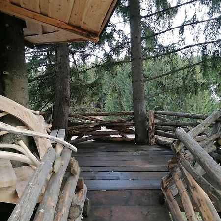 Вилла Casuta Con Фундата Экстерьер фото