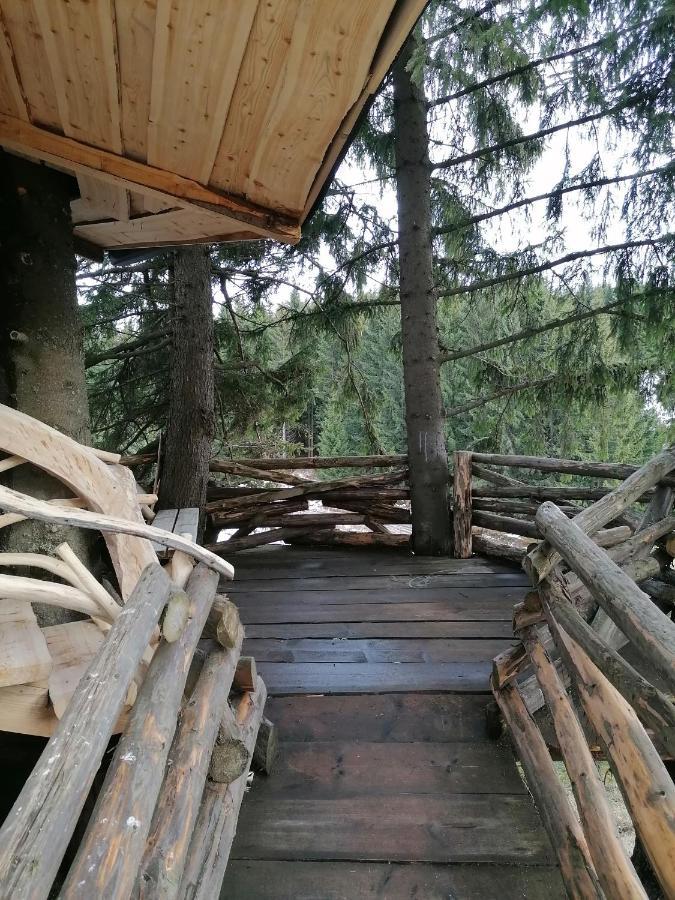 Вилла Casuta Con Фундата Экстерьер фото